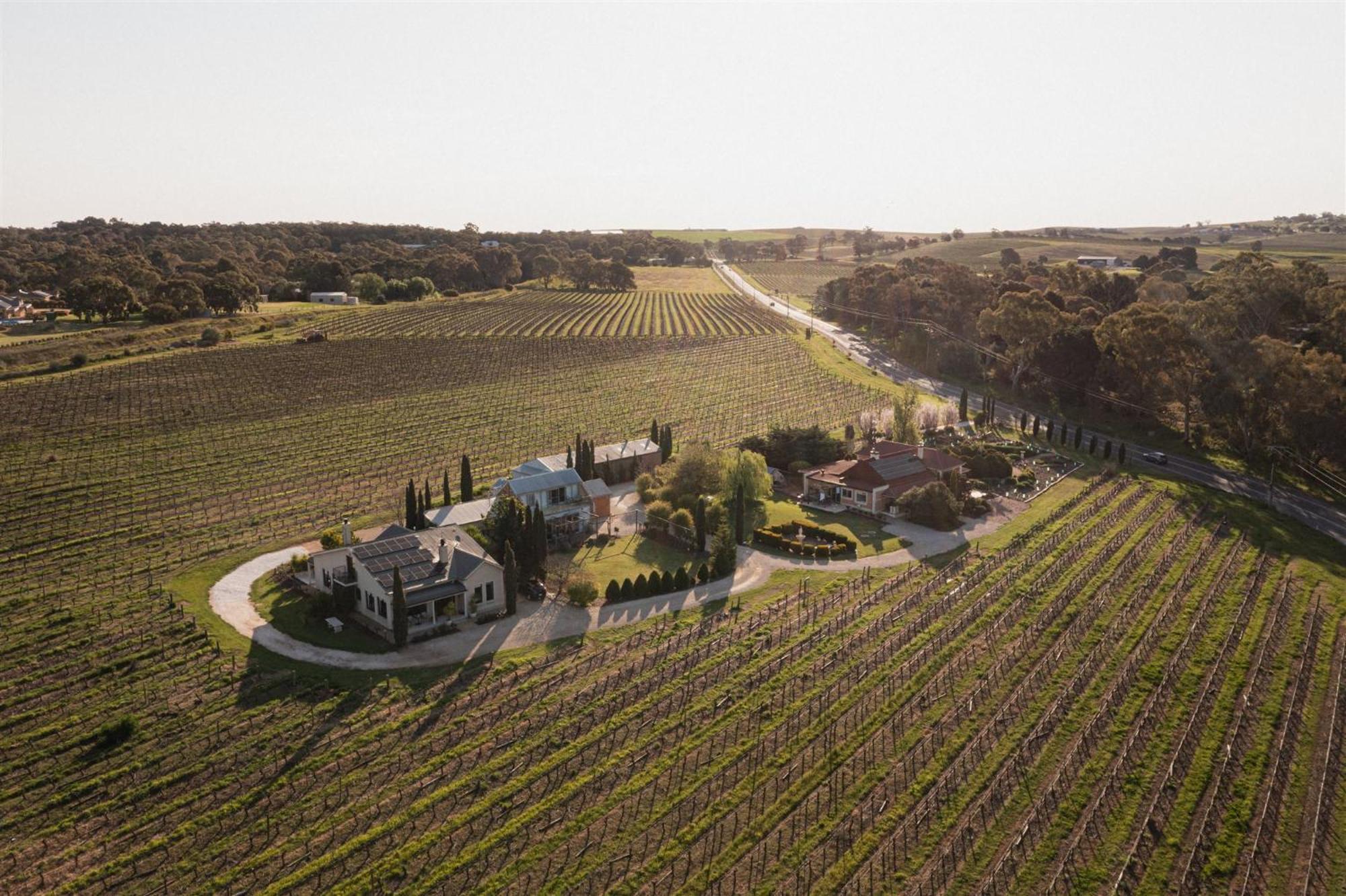 Barossa Shiraz Estate Villa Lyndoch Exteriör bild