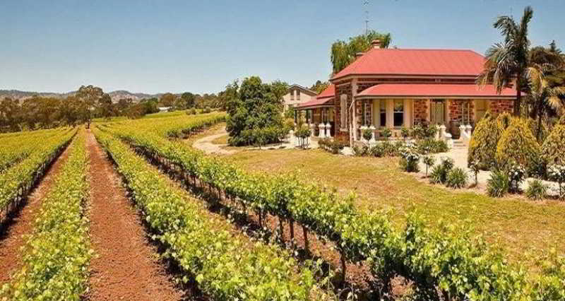 Barossa Shiraz Estate Villa Lyndoch Exteriör bild