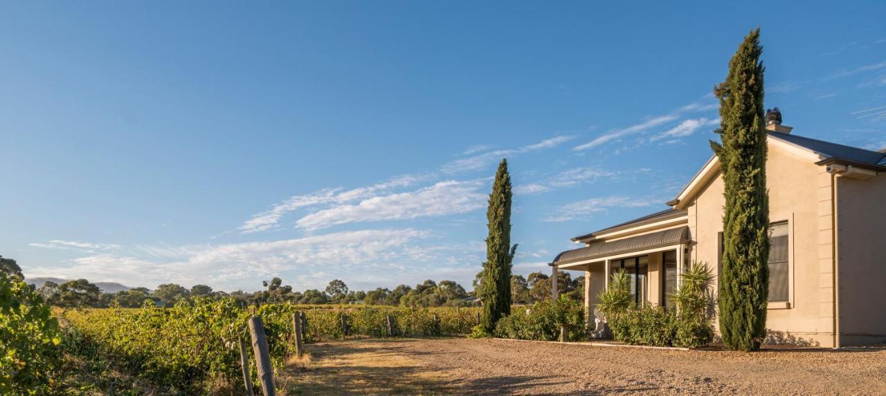 Barossa Shiraz Estate Villa Lyndoch Exteriör bild